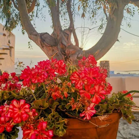Paros Pounta Sea View